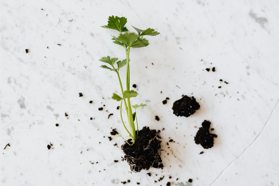"Hoe maak je een DIY Verticale Kruidentuin voor Kleine Ruimtes"